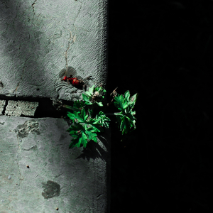 东北野鸡大学洗澡网
