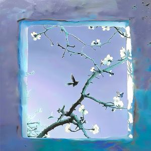 东北野鸡大学洗澡网
