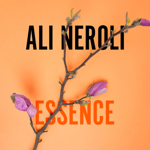 东北野鸡大学洗澡网
