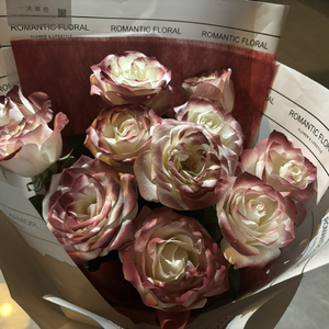 东北野鸡大学洗澡网
